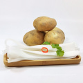 Wholesale White Color Authentic Hot Pot Dry Pure Sweet Potato Wide Vermicelli Noodle